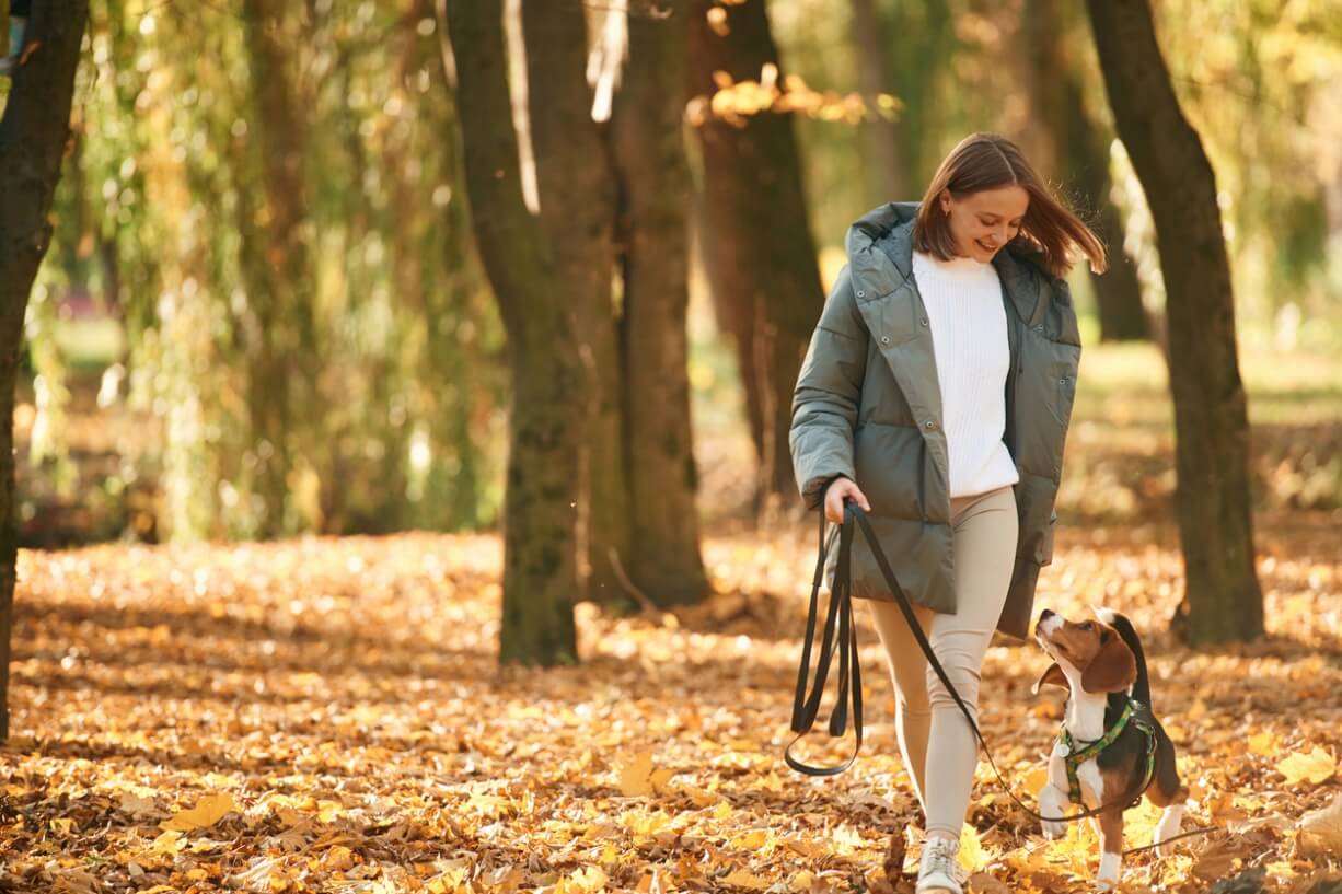 The Benefits of Staying Active with Your Pet: Strengthening Bonds and Enhancing Health