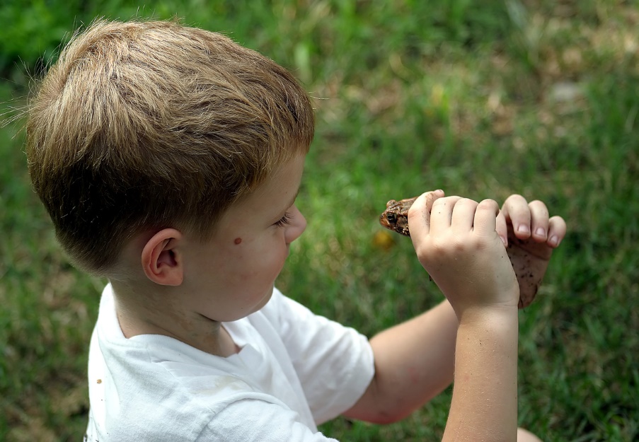 zoonotic diseases in pets and backyard chickens, A boy holding a frog