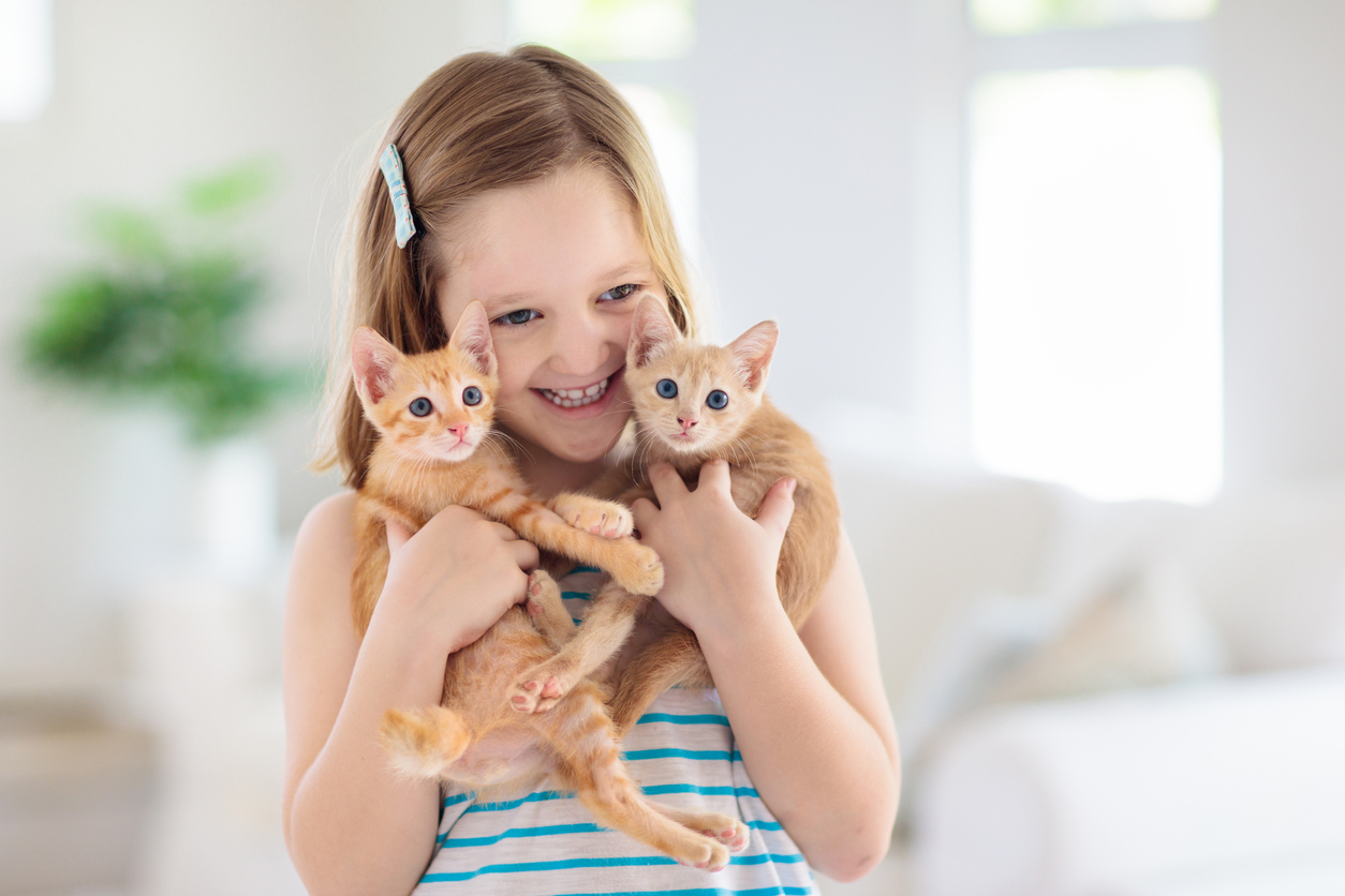Why get pet insurance, Child holding baby cat. Kids and pets. Little girl hugging cute little kitten at home. Domestic animal in family with kids. Children with pet animals.