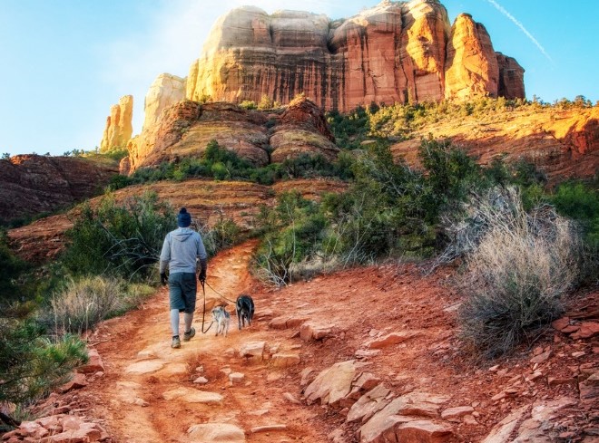 Your Fall Pet Care Guide from Oak Creek Small Animal Clinic, a person walking their dogs